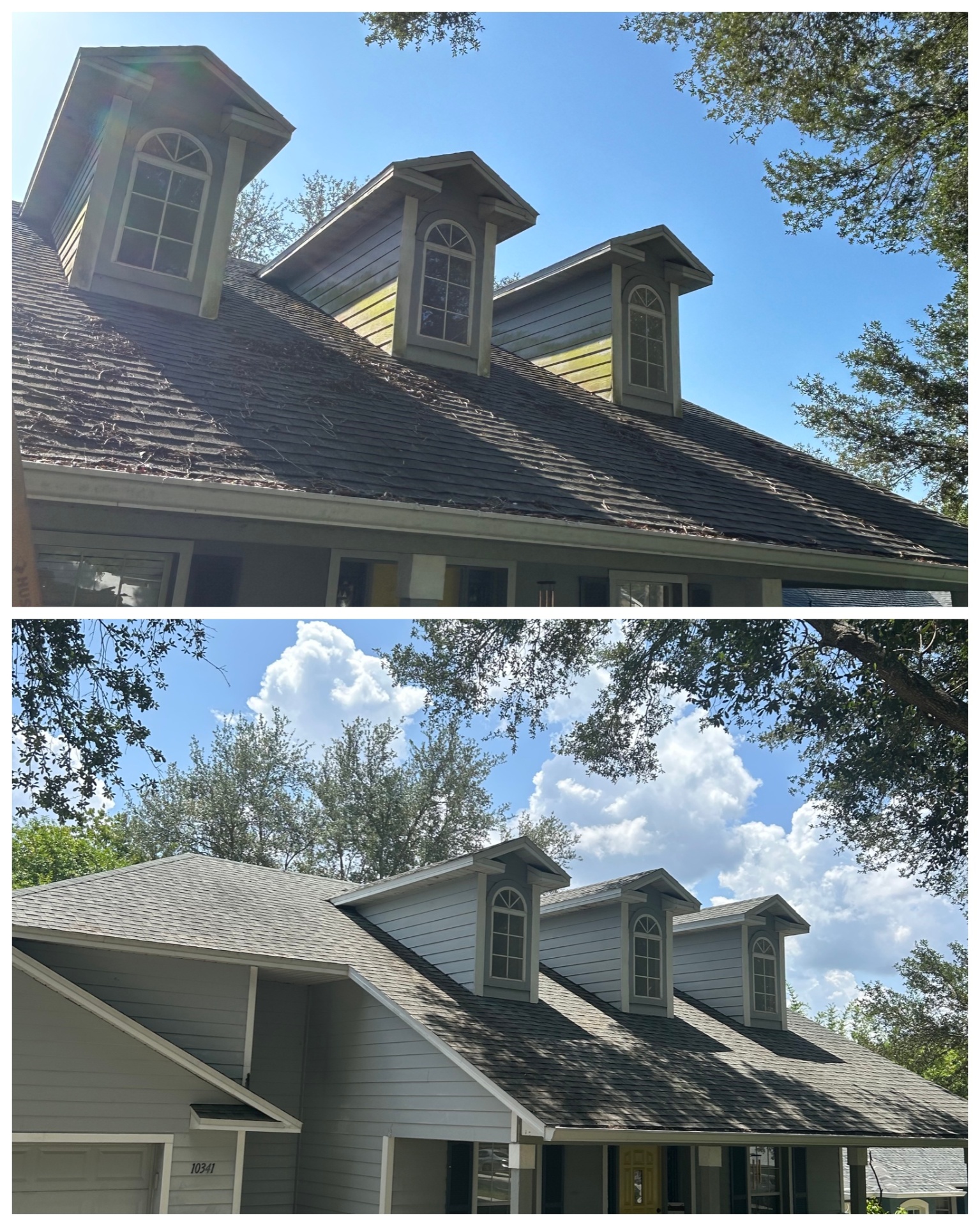House soft wash, Clermont