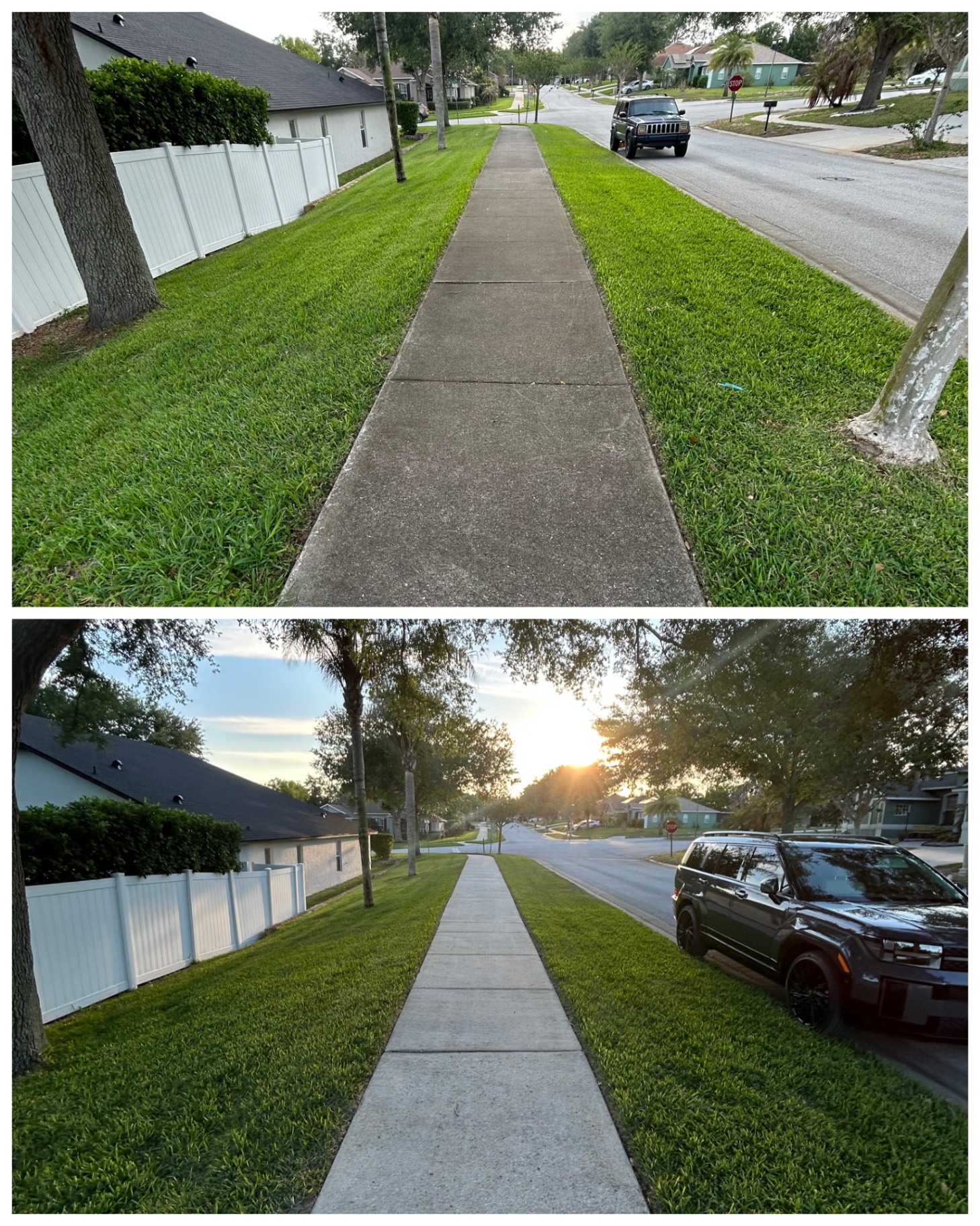 Driveway cleanup ,Groveland
