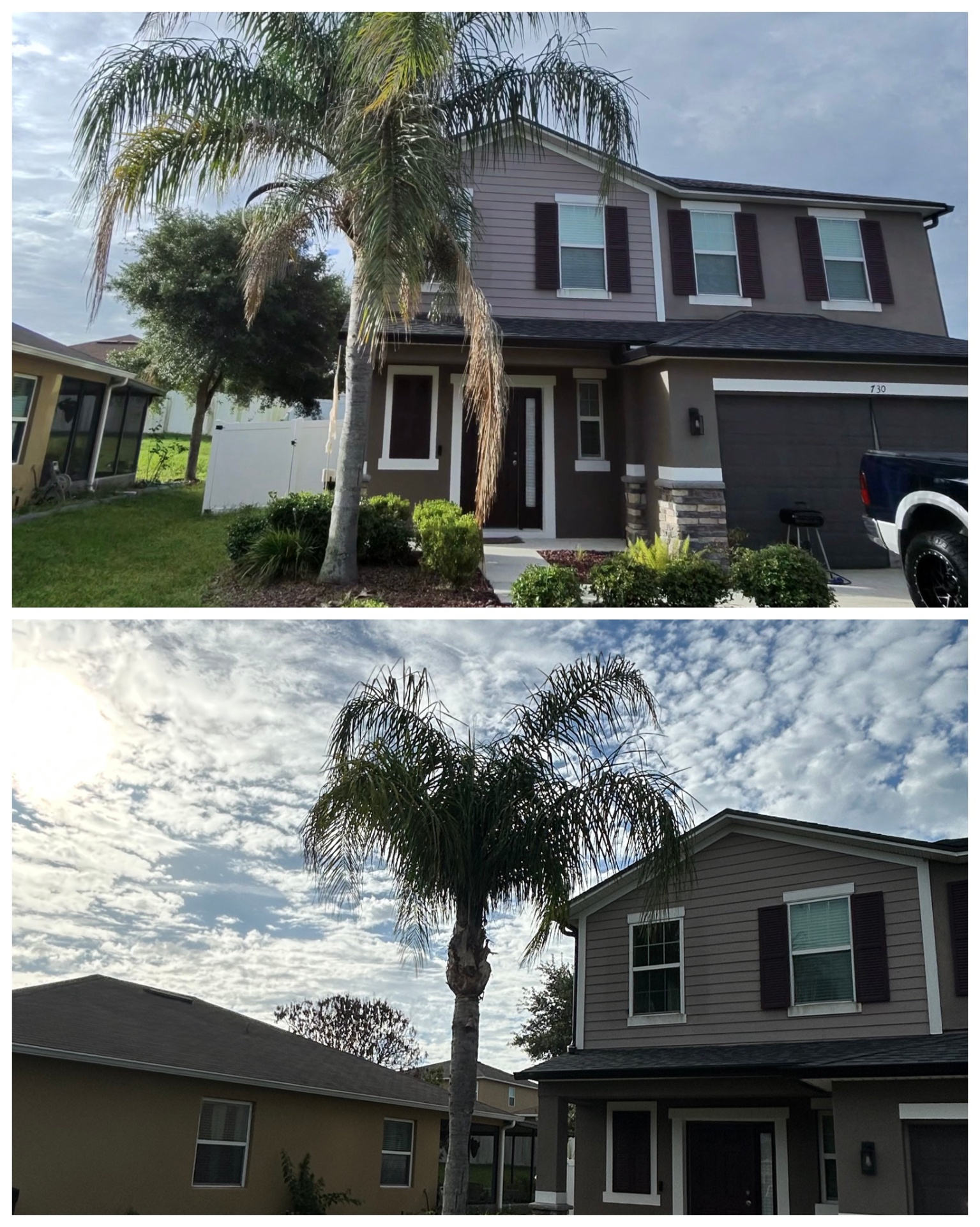 Palm trimming, Groveland