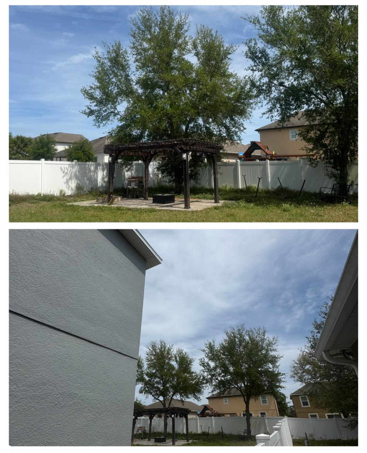 Palm maintenance, Minneola